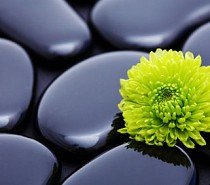 Reiki Benefits
