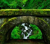 Reiki Resources