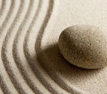 The Reiki Alliance